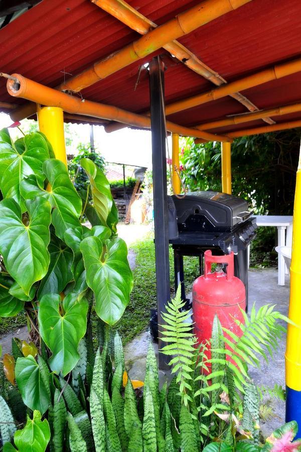 Casa Finca Villa Luz A 800 Mts Del Parque Del Cafe Montenegro Εξωτερικό φωτογραφία